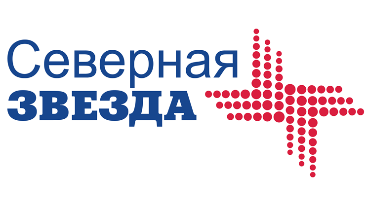 северная звезда лого